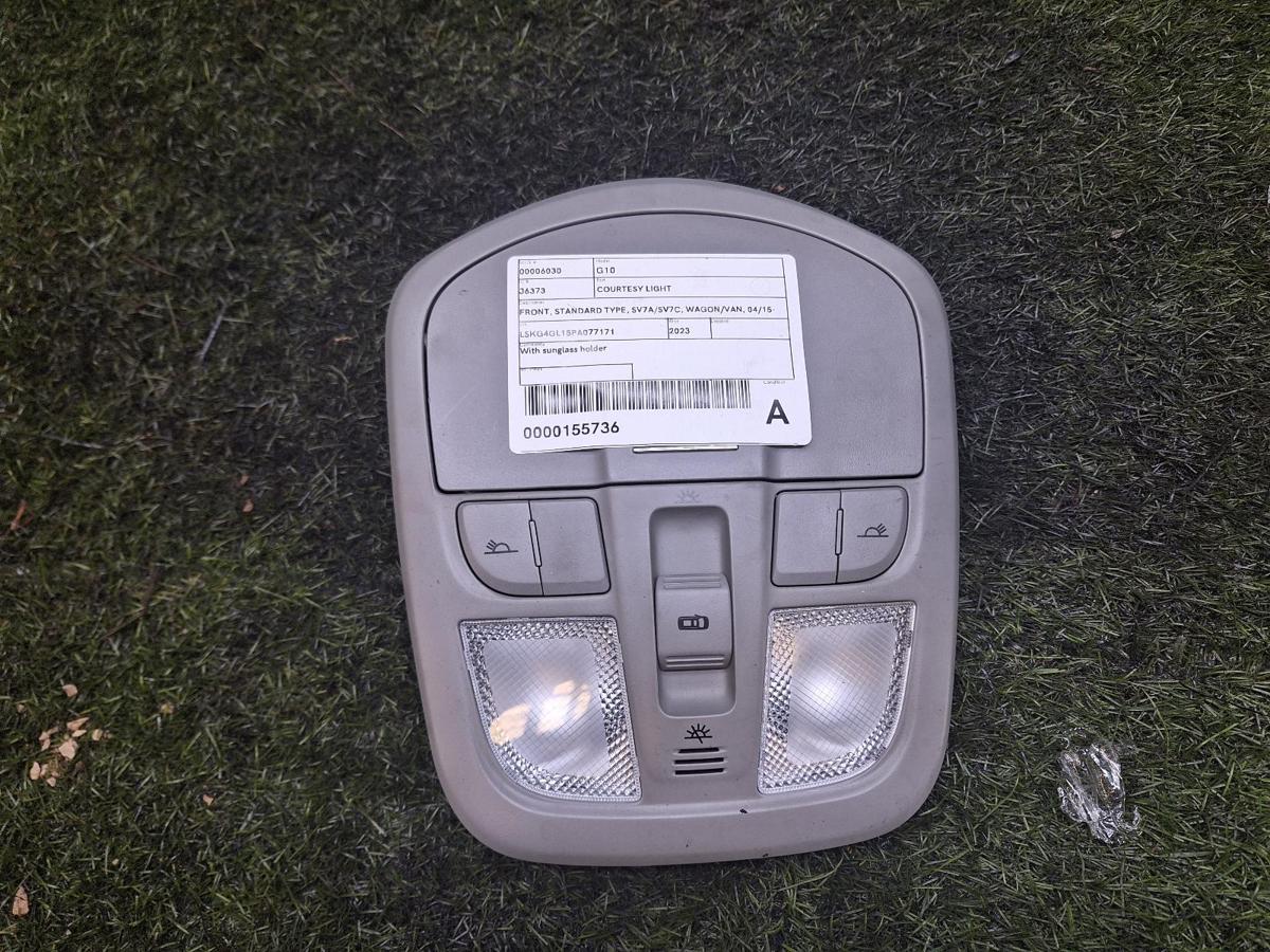 Courtesy Light for LDV G10