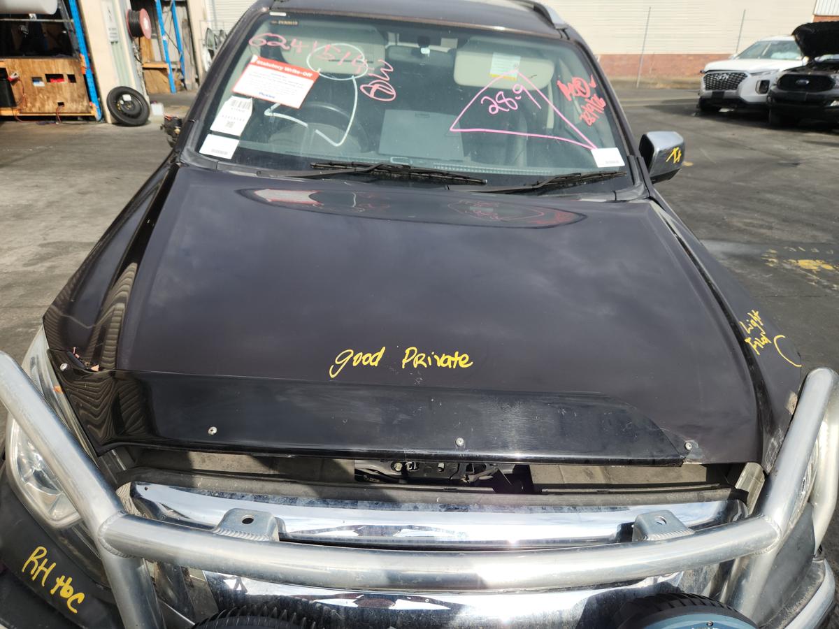 1000954731-Bonnet