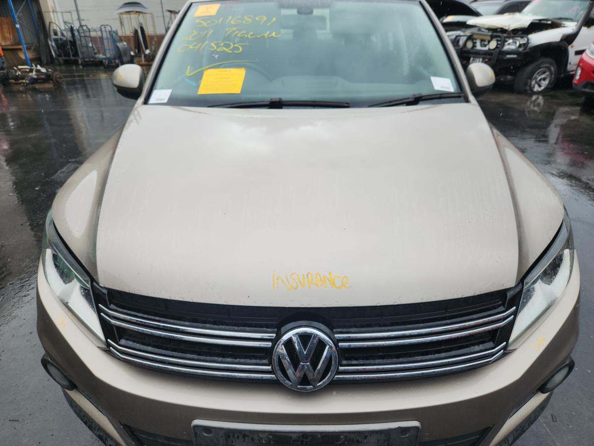 1000959115-Bonnet