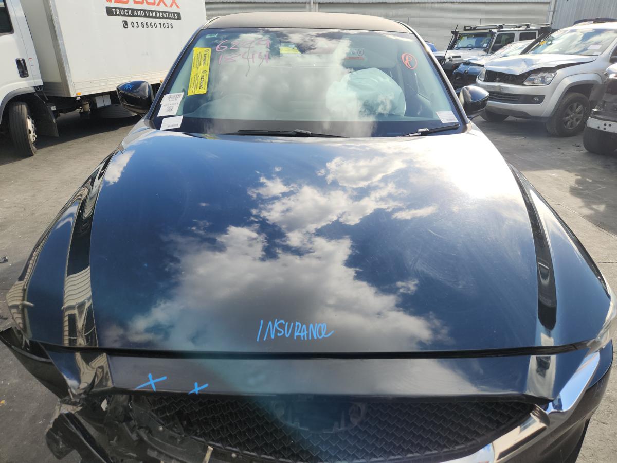 1000924393-Bonnet