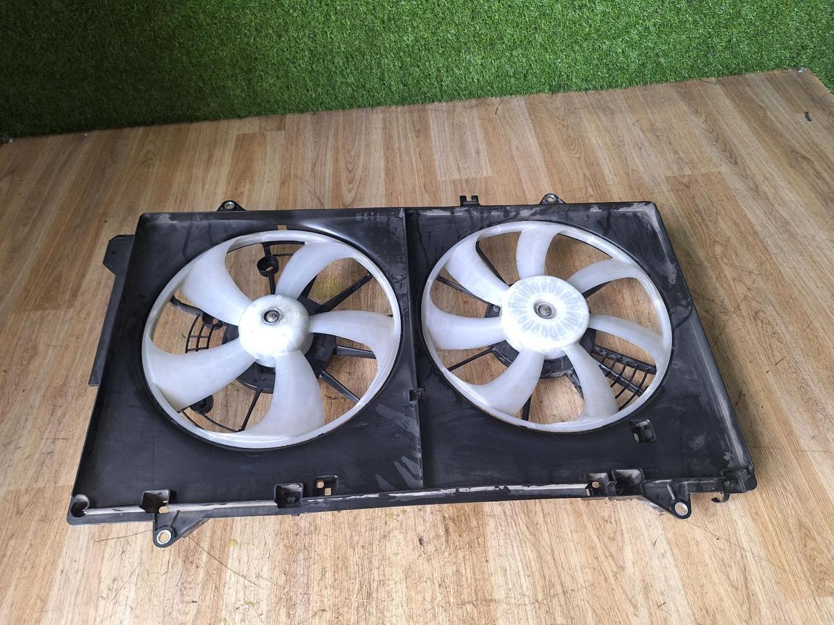 1000889078-Fan Top
