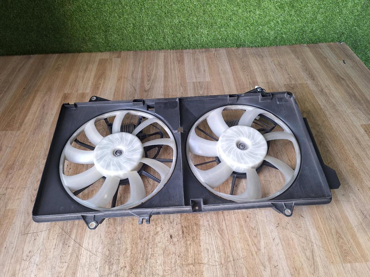1000886016-Fan Top