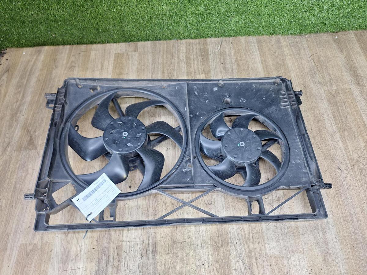 1000918614-Fan Top