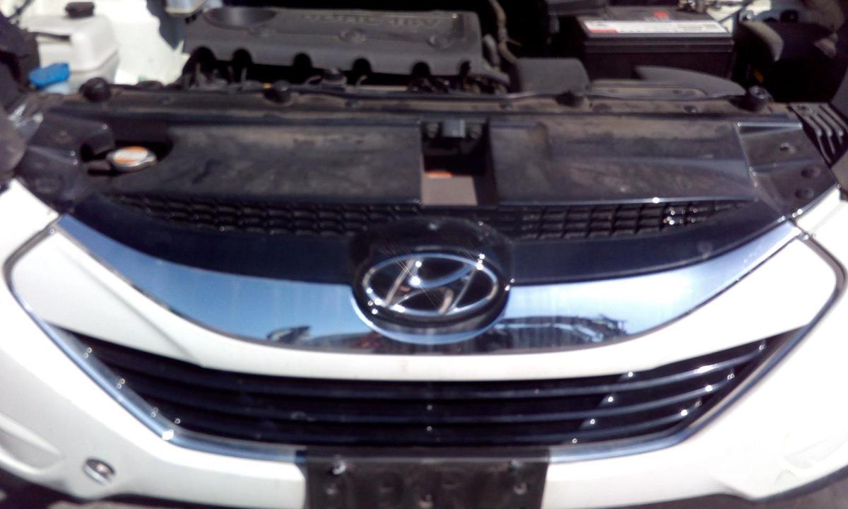 1000665645-Grille
