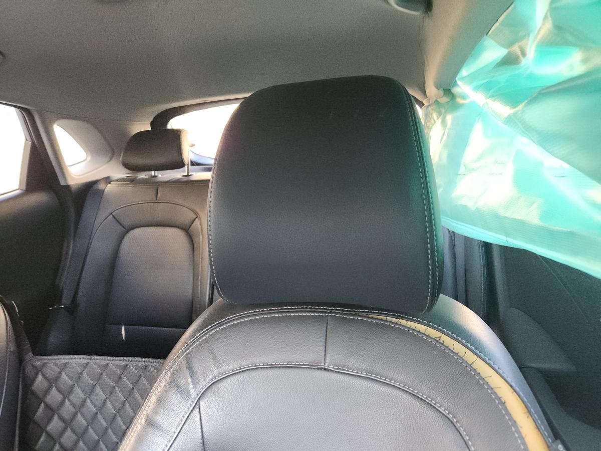 1000941306-Headrest Left Front