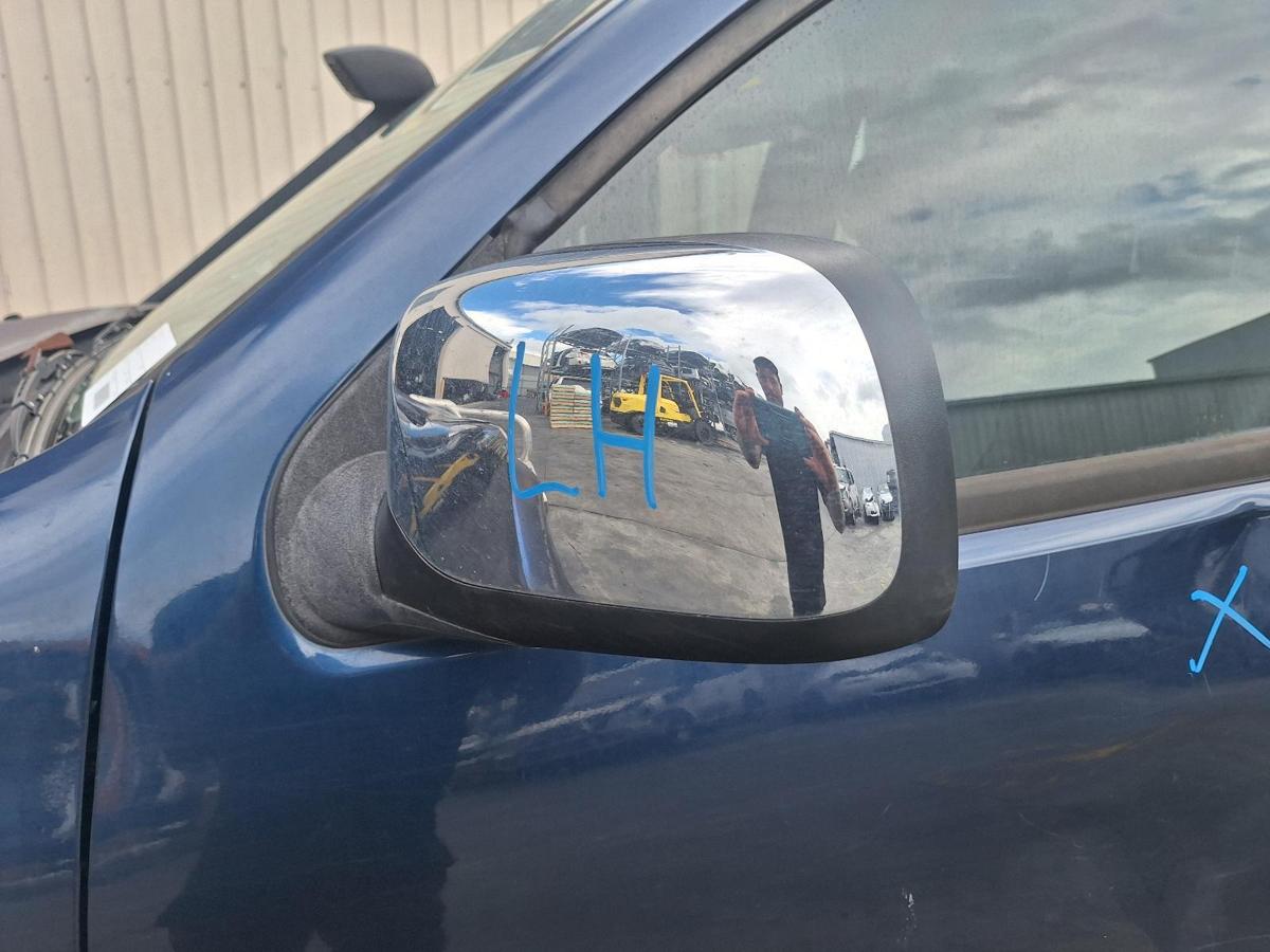 1000816317-Left Door Mirror
