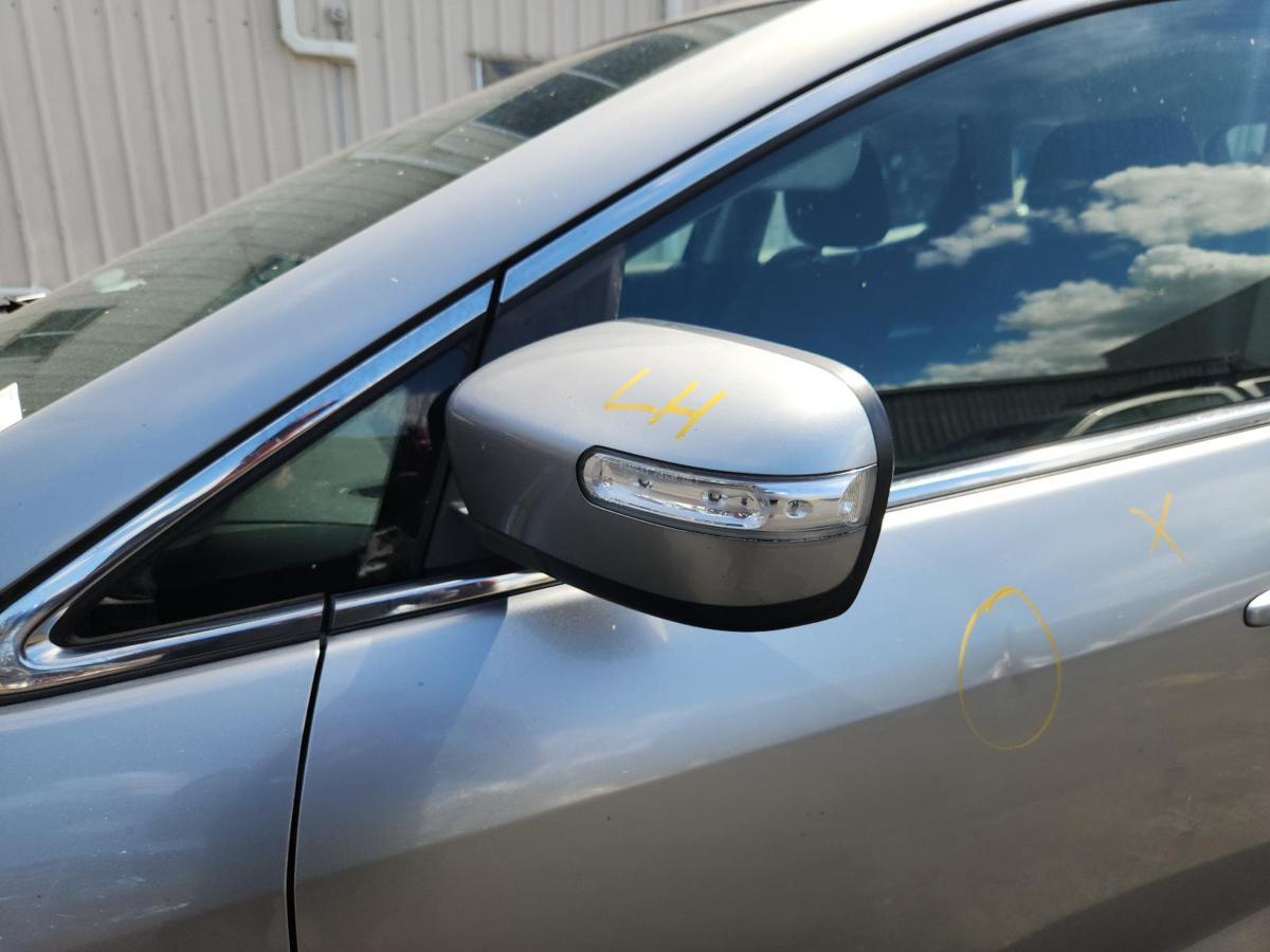 1000886572-Left Door Mirror