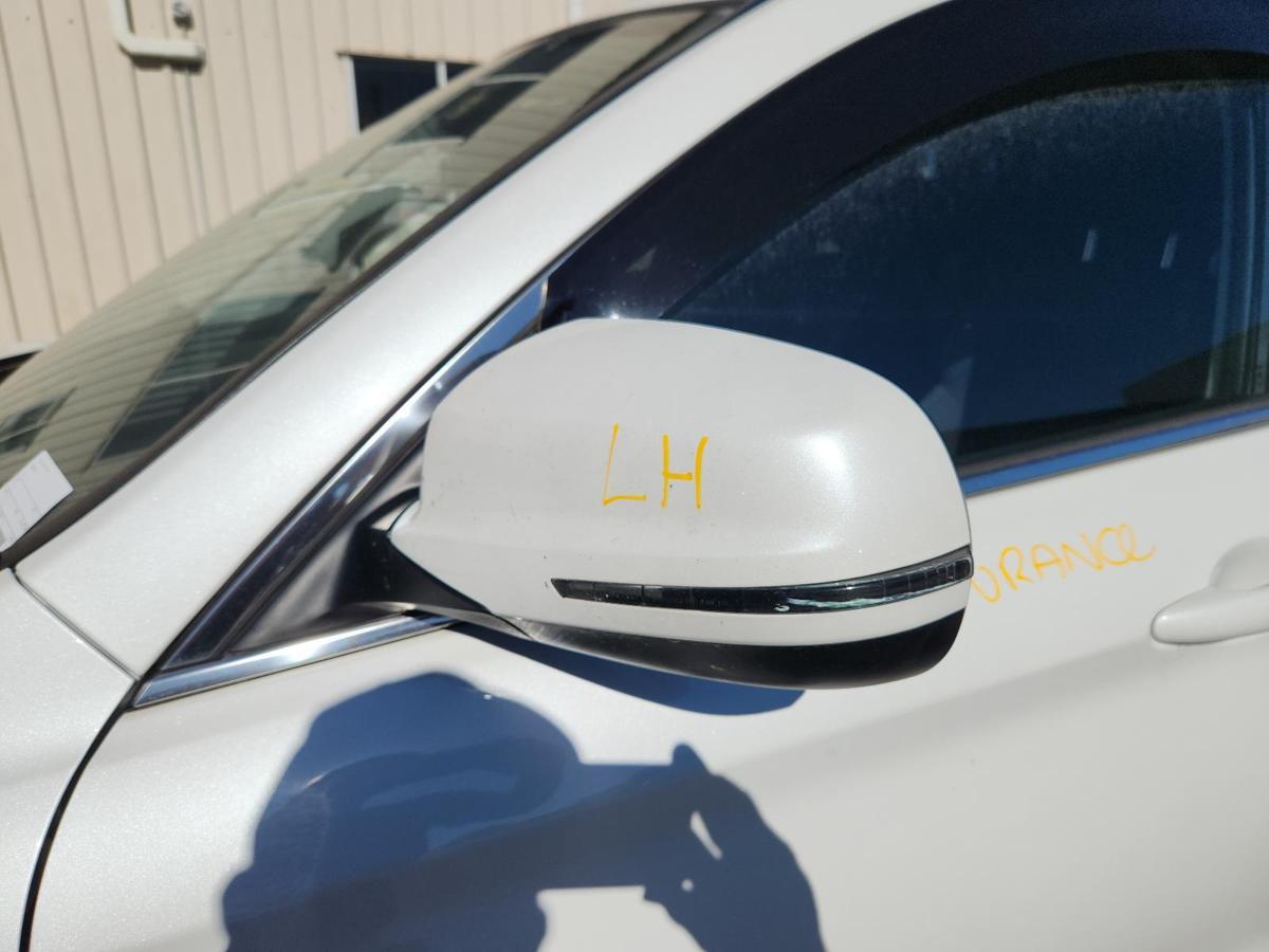 1000851377-Left Door Mirror