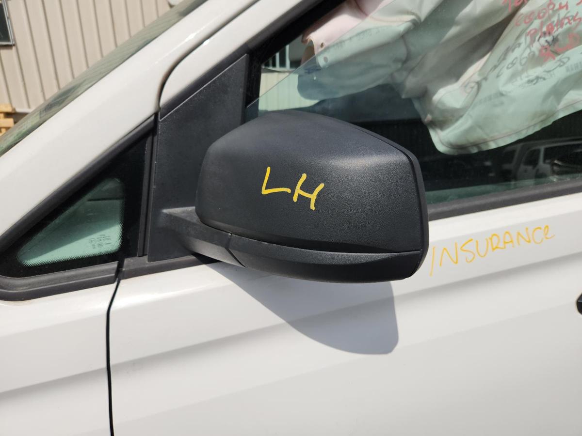 1000866920-Left Door Mirror