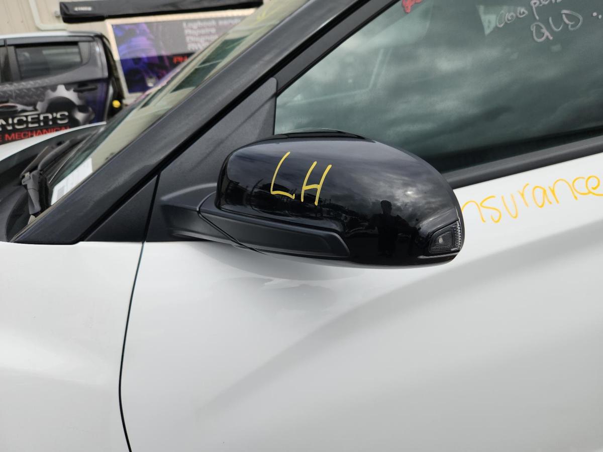 1000839350-Left Door Mirror