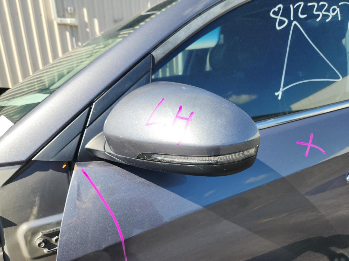 1000822000-Left Door Mirror