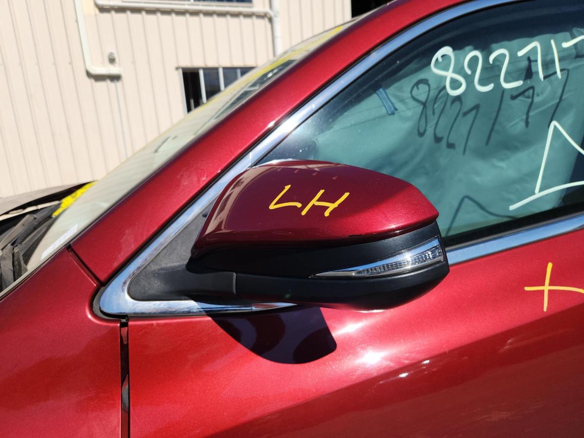 1000843384-Left Door Mirror