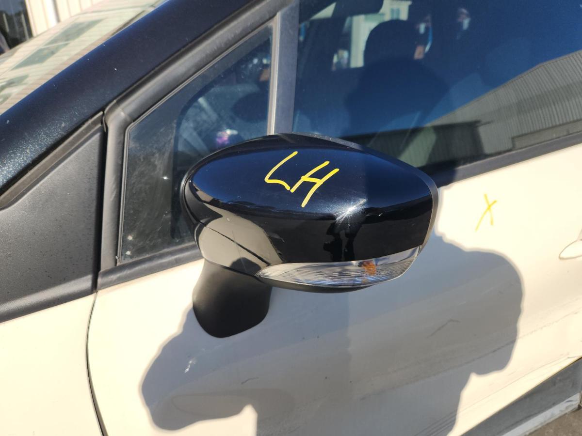 1000849284-Left Door Mirror