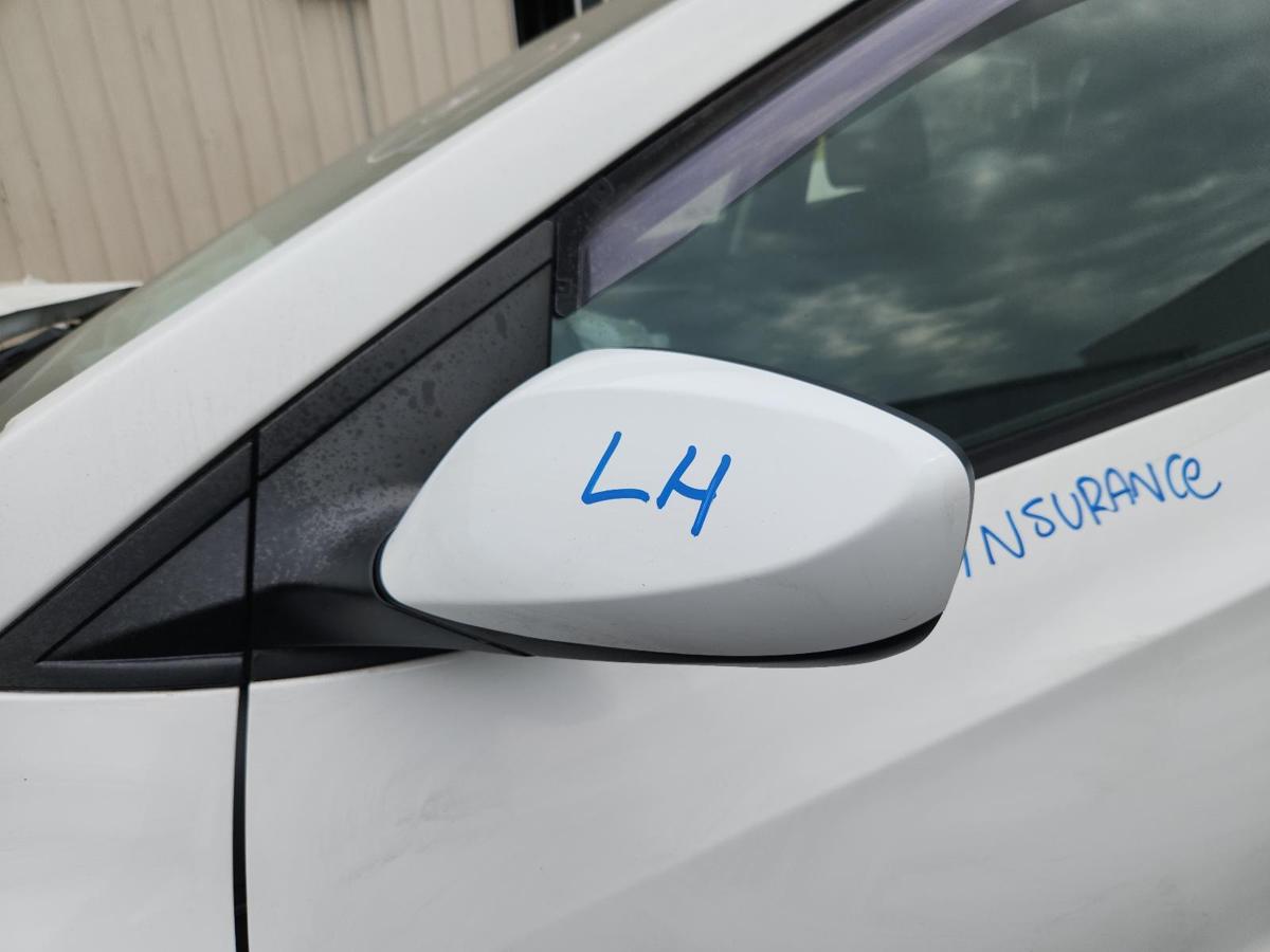1000869932-Left Door Mirror