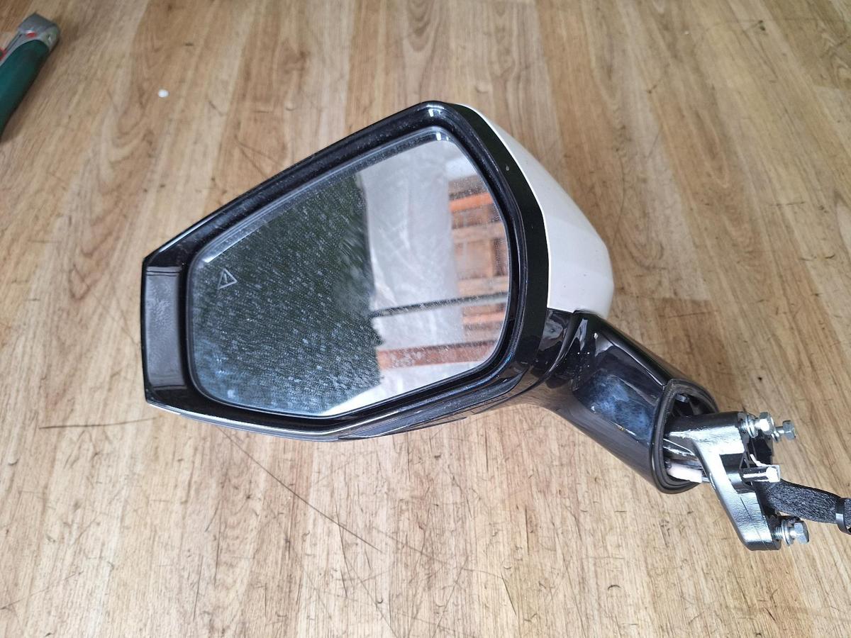 1000906621-Left Door Mirror Front