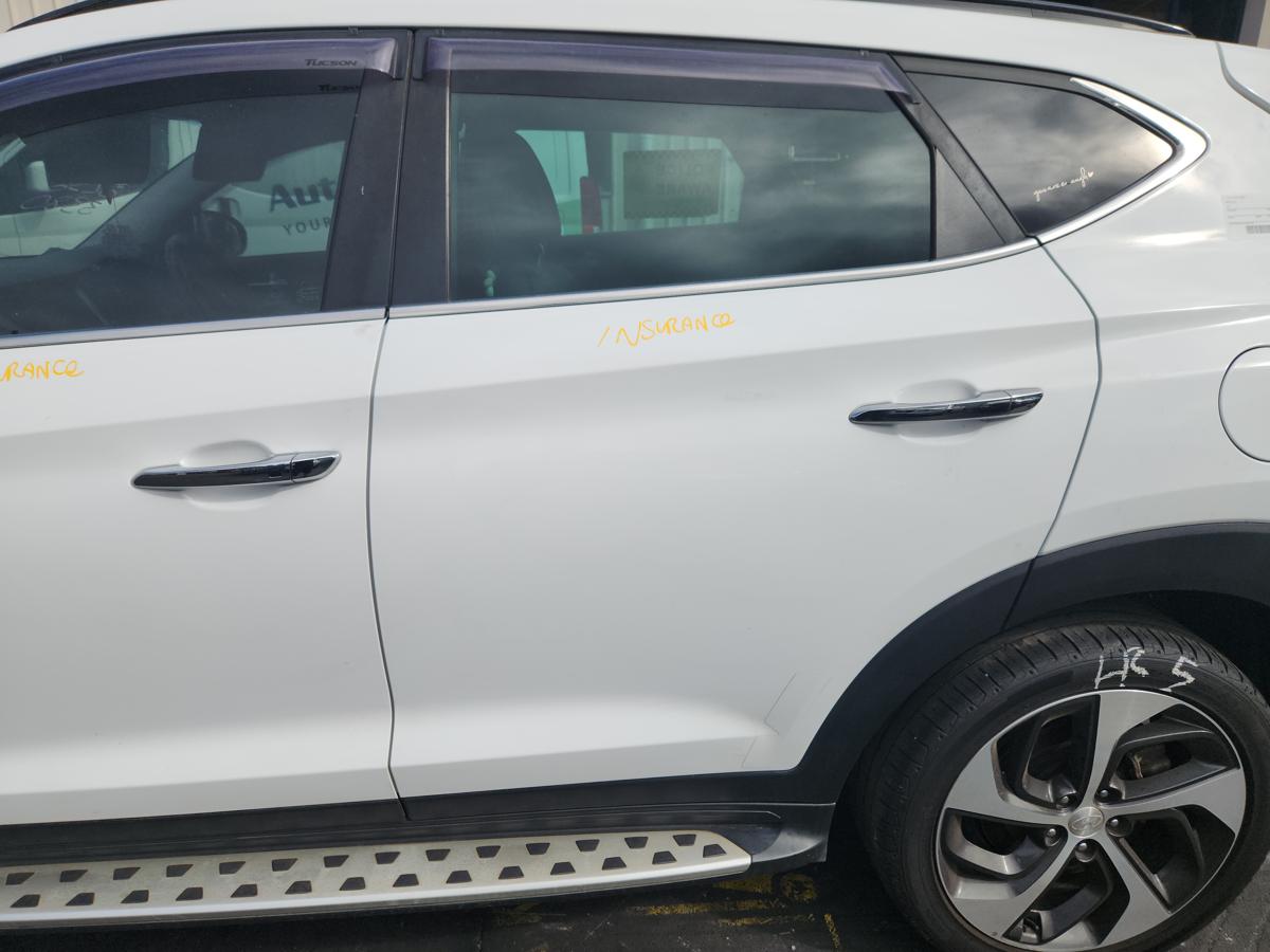 1000943646-Left Rear Door