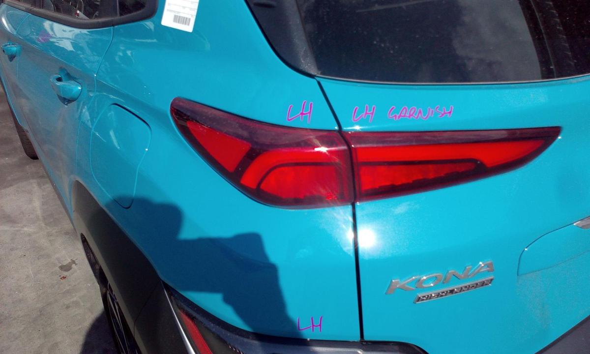 1000635822-Left Taillight