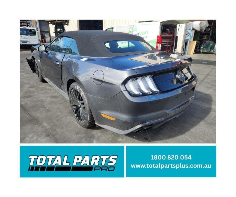 1000934565-Money Shot