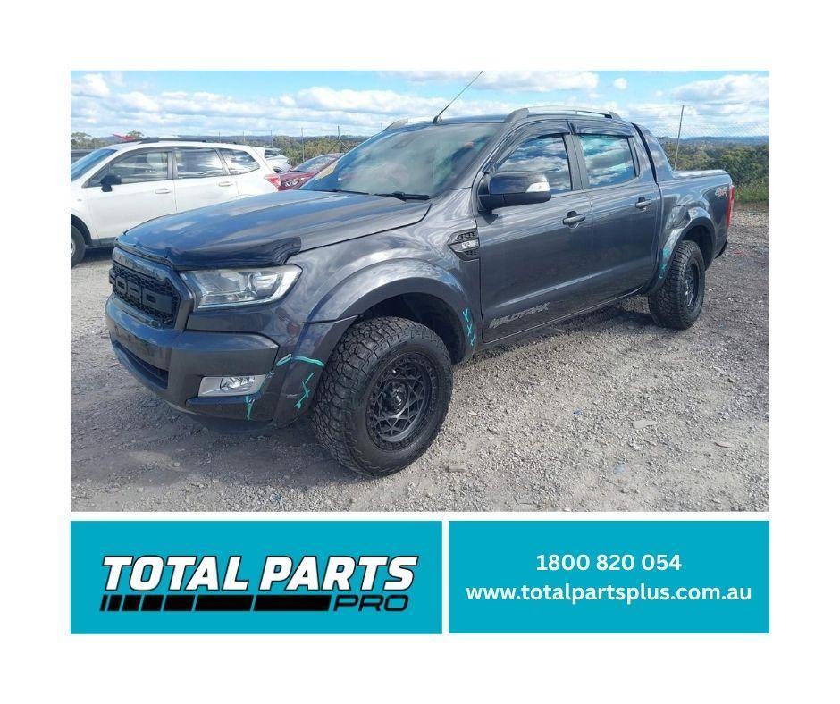 1000953216-Money Shot