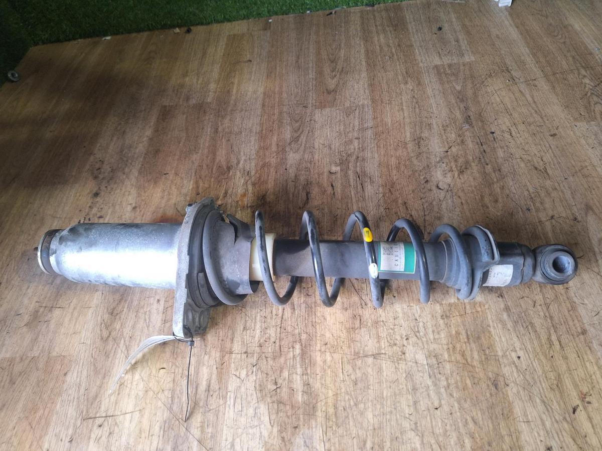 1000912843-Right Rear Strut Top