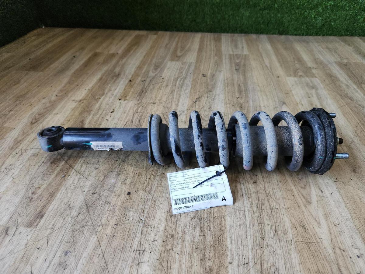 1000882585-Right Front Strut Top