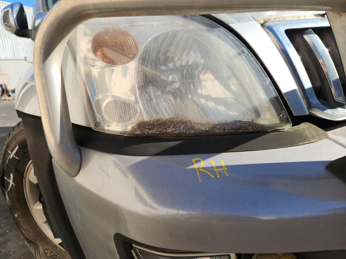 1000851904-Right Headlamp
