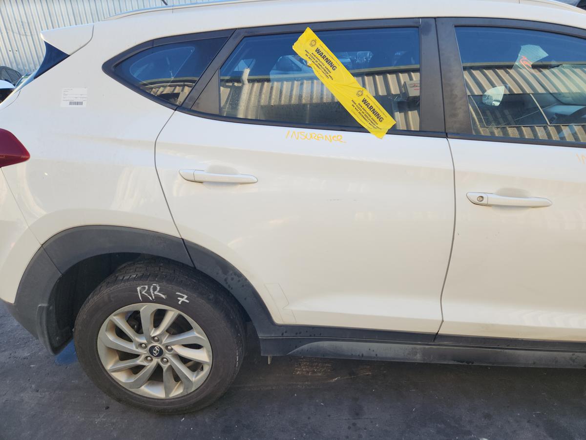 1000949644-Right Rear Door