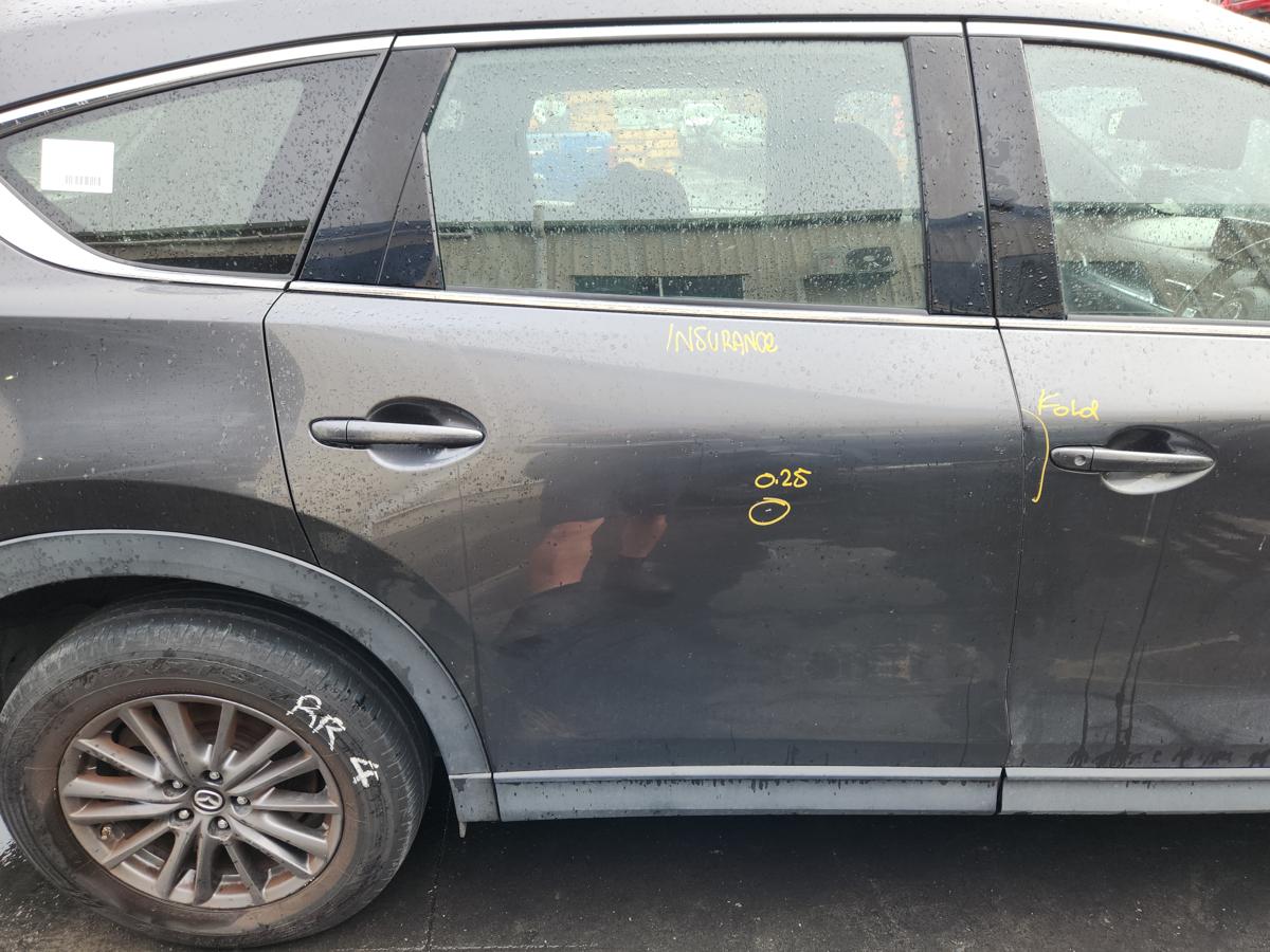 1000957975-Right Rear Door