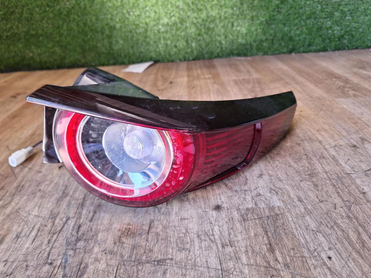 1000919141-Right Taillight Top