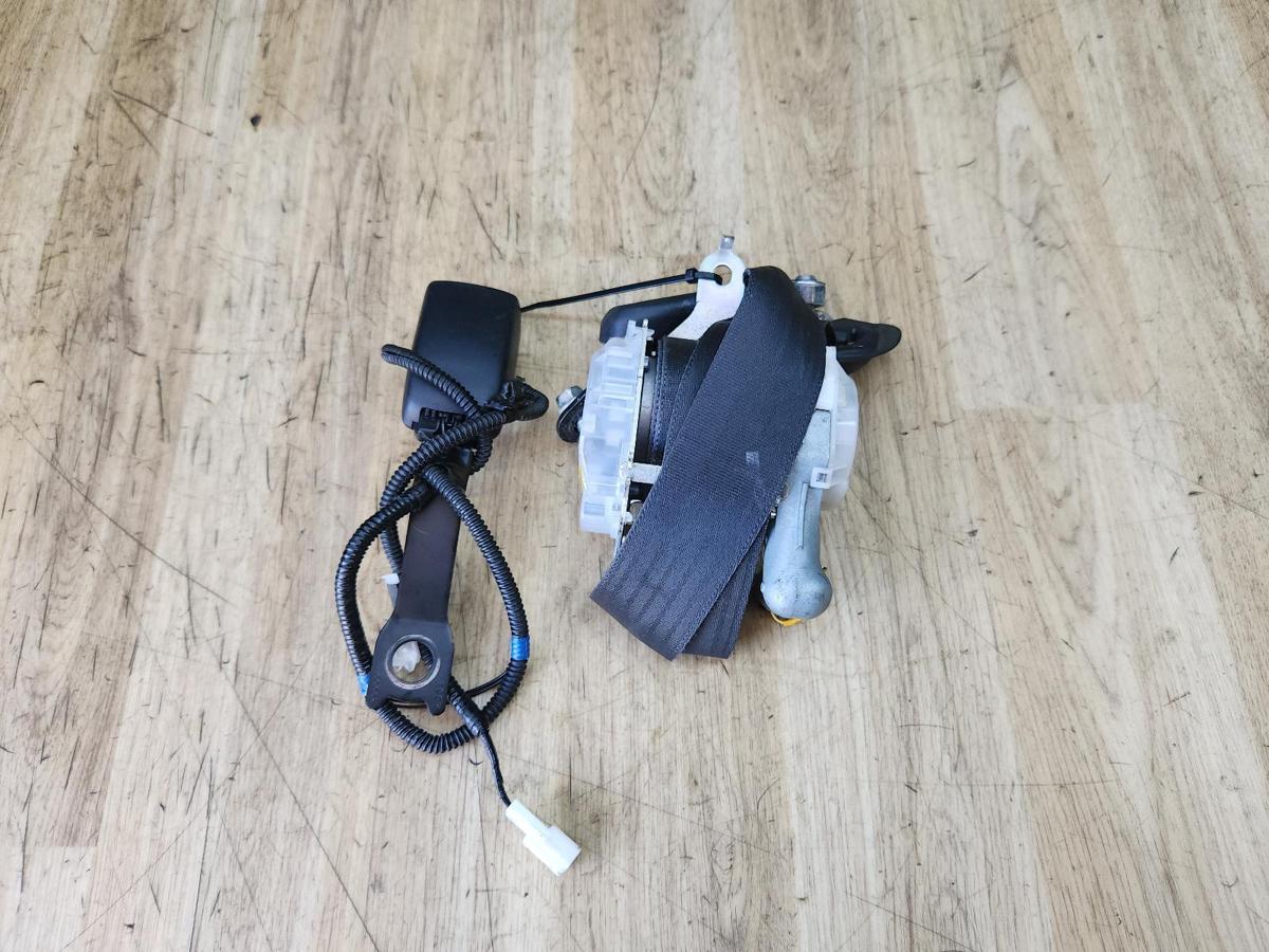 1000929488-Seat Belt RHF Top