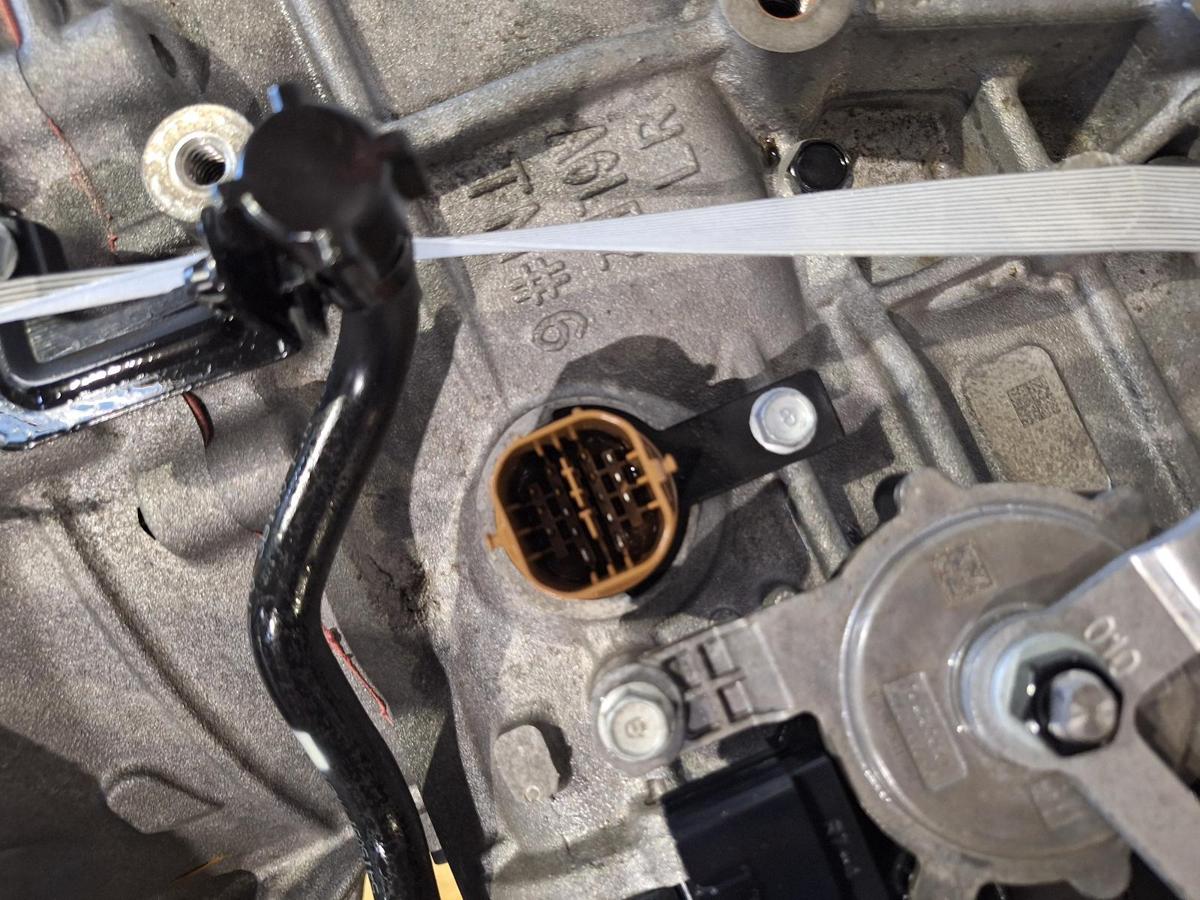 1000940789-Trans Gearbox Plug 2